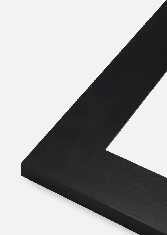 Spegel Dover Svart 43x53 cm