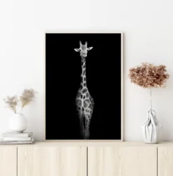 Stunning giraffe Poster (21x29.7 cm (A4))