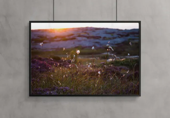 Summer evening on the rocks Poster (21x29.7 cm (A4))