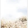 Summer Field Canvastavla (30x40 cm)