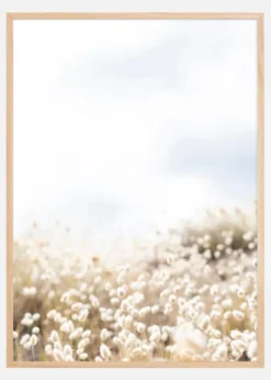 Summer field Poster (21x29.7 cm (A4))