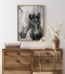 The Foal Poster (21x29.7 cm (A4))