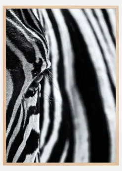 The look of nature Poster (21x29.7 cm (A4))