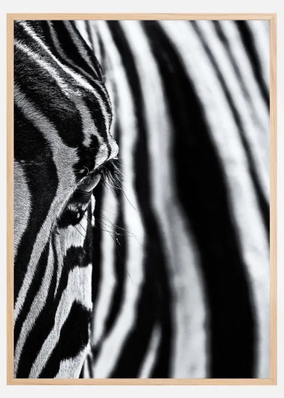 The look of nature Poster (21x29.7 cm (A4))