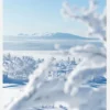 The Silence Of Snowlight Canvastavla (30x40 cm)