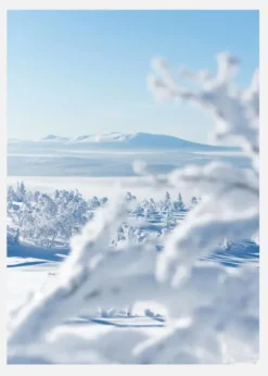 The Silence Of Snowlight Canvastavla (30x40 cm)