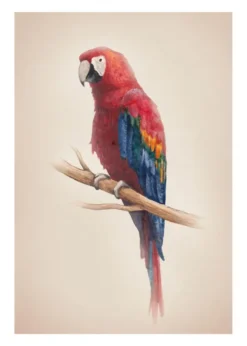 Tropical Parrot Poster (21x29.7 cm (A4))