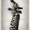 True Love Poster (21x29.7 cm (A4))