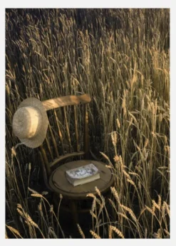 Trust The Field Canvastavla (30x40 cm)