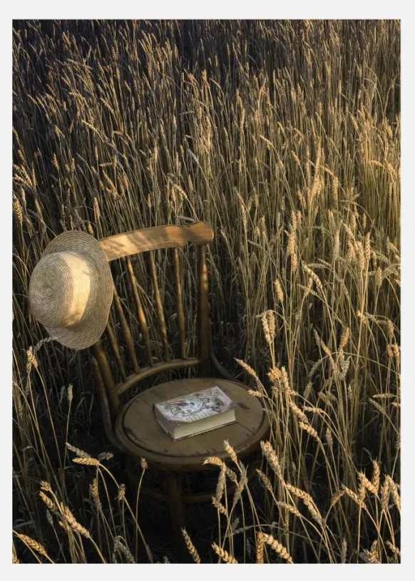 Trust The Field Canvastavla (30x40 cm)