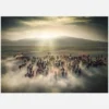 Wild Horses Canvastavla (30x40 cm)